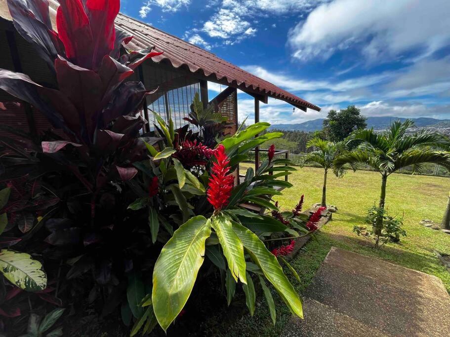 Chalet Zen Bella Vista San Juan  Bagian luar foto